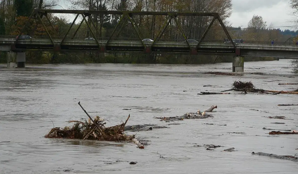 snohomish river flooding