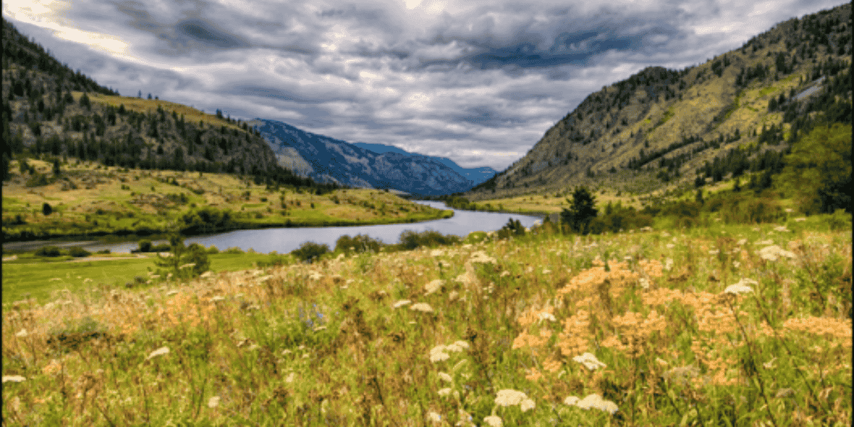 Sinlahekin Wildlife Area