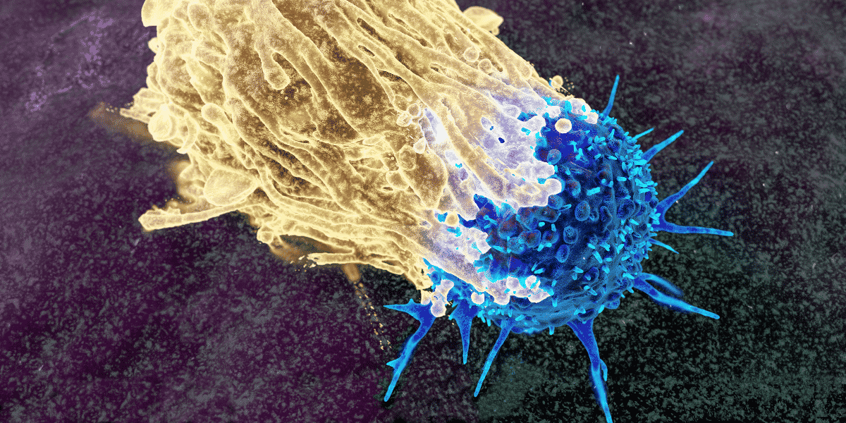cancer cell